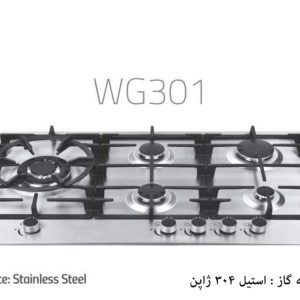 Wise WG301