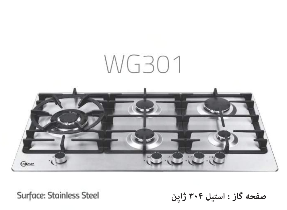 Wise WG301