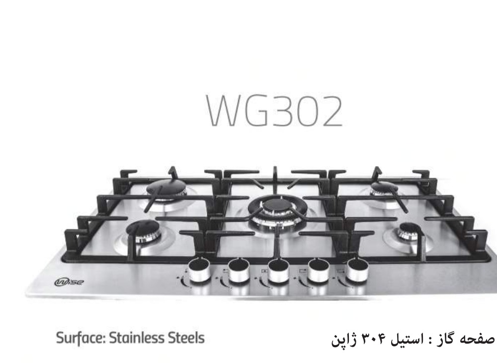 Wise WG302