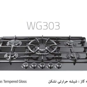Wise WG303