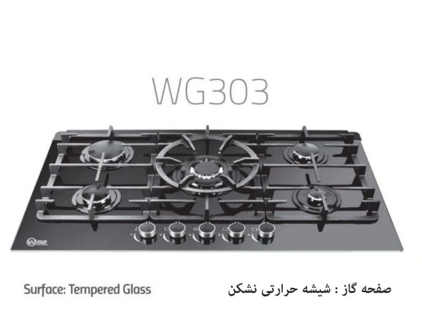 Wise WG303