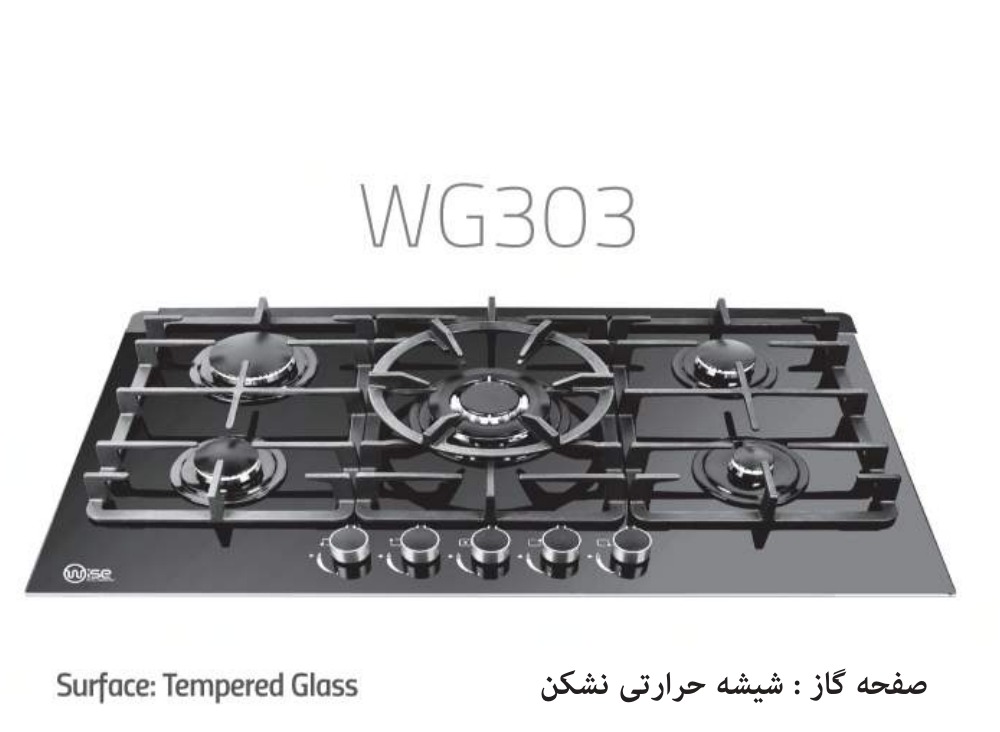 Wise WG303