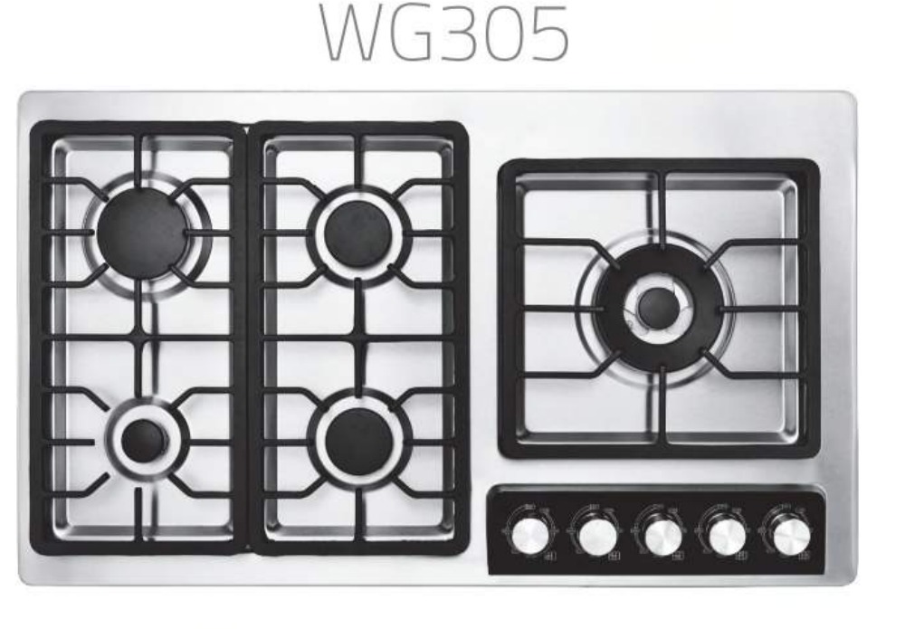 Wise WG305