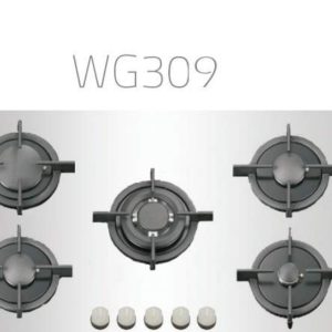 Wise WG309