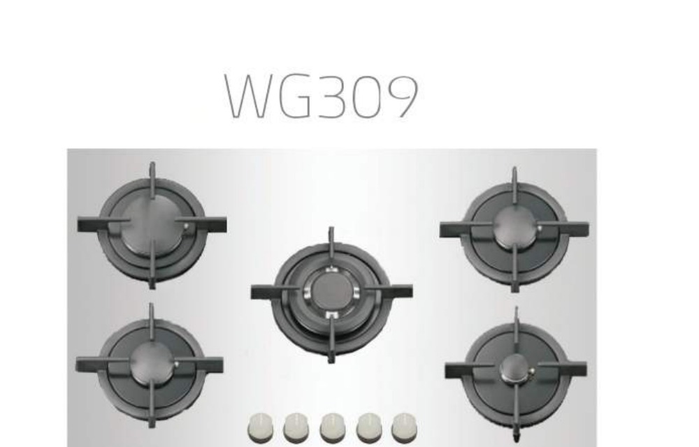 Wise WG309