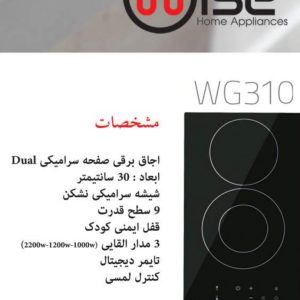 Wise WG310