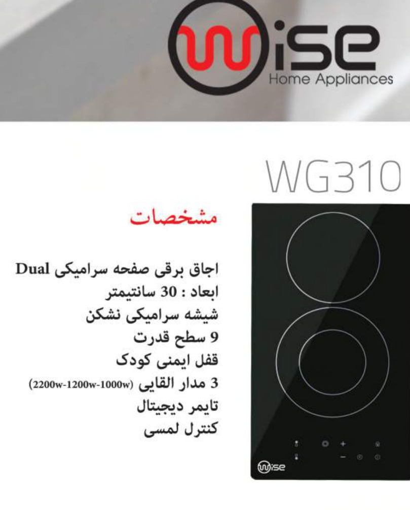Wise WG310
