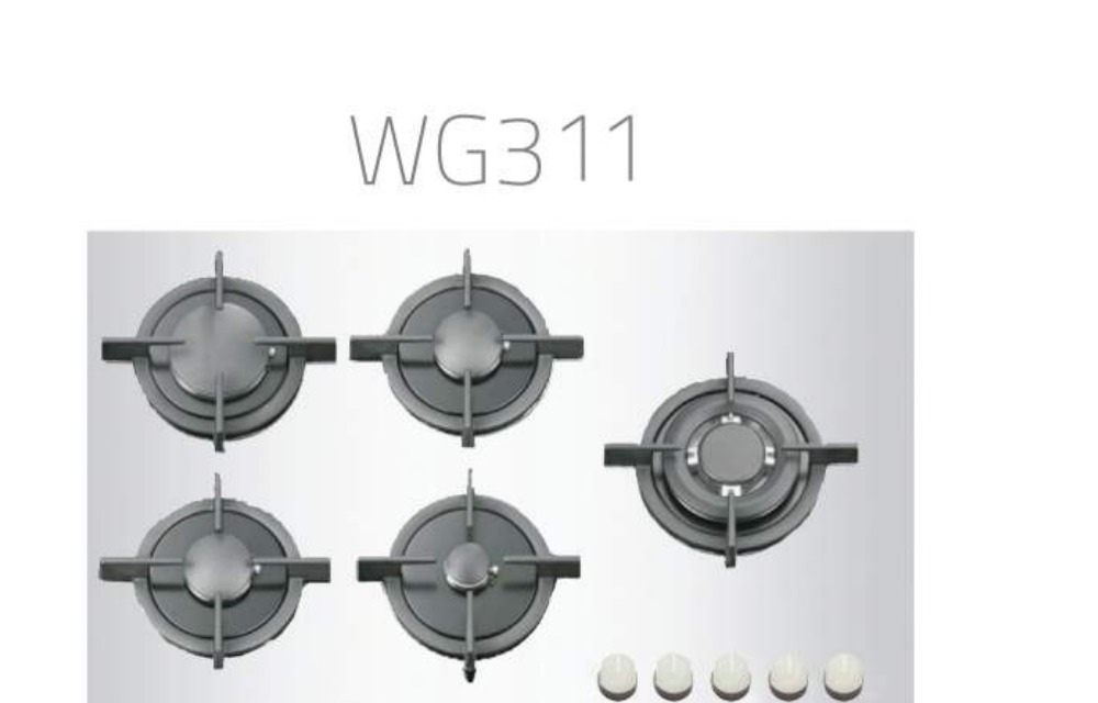 Wise WG311