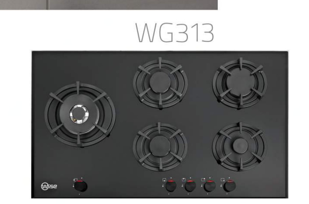 Wise WG313